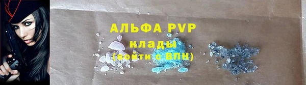бошки Аркадак