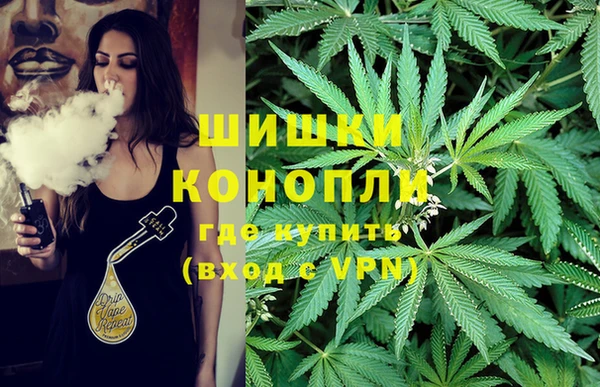 ГАЛЛЮЦИНОГЕННЫЕ ГРИБЫ Арсеньев