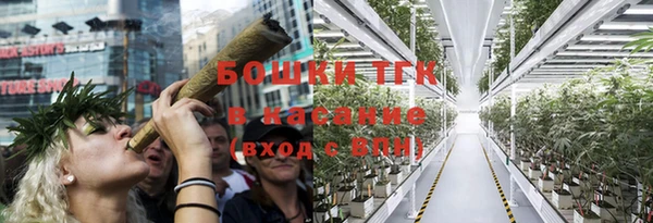 ГАЛЛЮЦИНОГЕННЫЕ ГРИБЫ Арсеньев